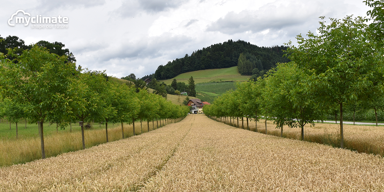 Myclimate Environment