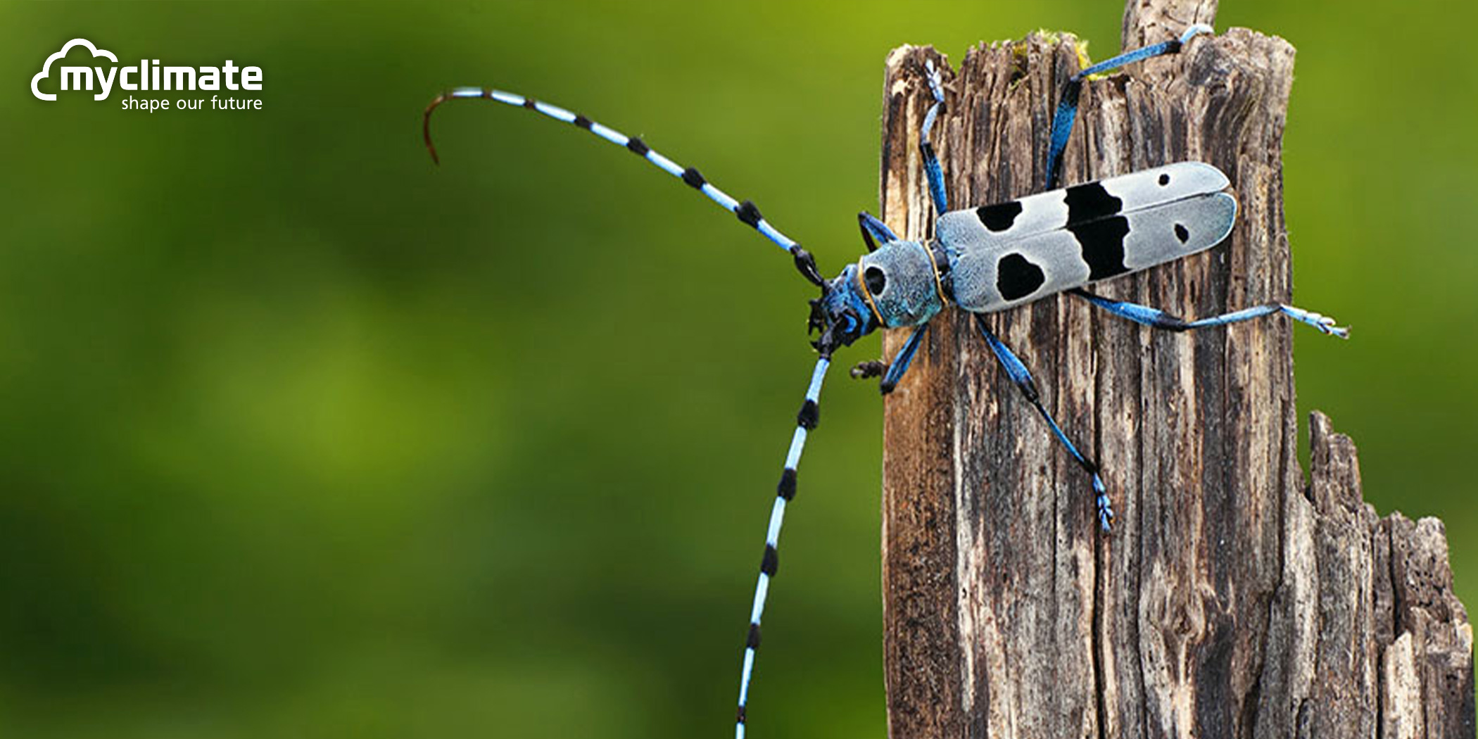 Myclimate Projektbilder «Environment» 3