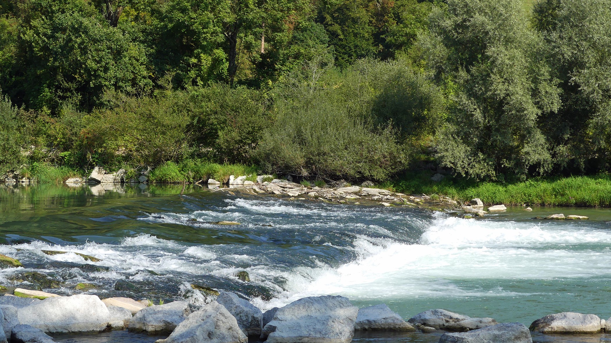 Hauptbild Aarestrategien.png